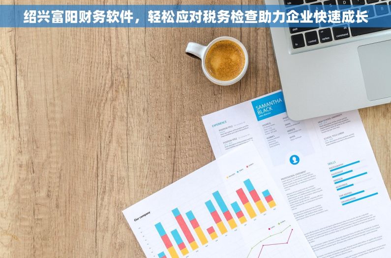 绍兴富阳财务软件，轻松应对税务检查助力企业快速成长