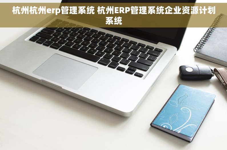 杭州杭州erp管理系统 杭州ERP管理系统企业资源计划系统