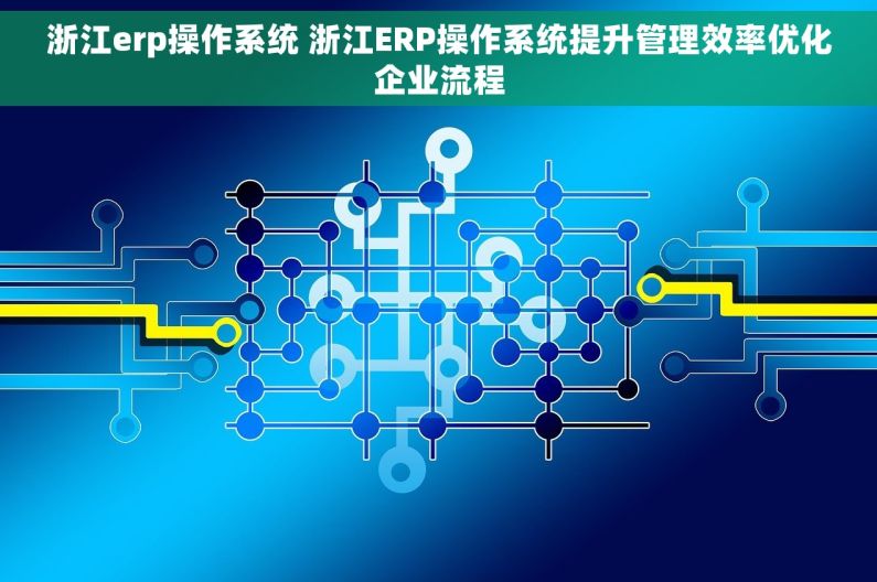 浙江erp操作系统 浙江ERP操作系统提升管理效率优化企业流程