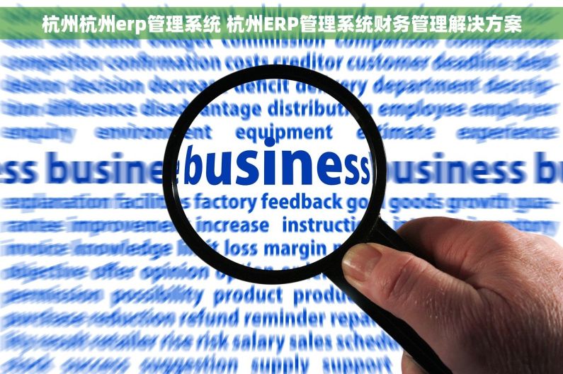 杭州杭州erp管理系统 杭州ERP管理系统财务管理解决方案