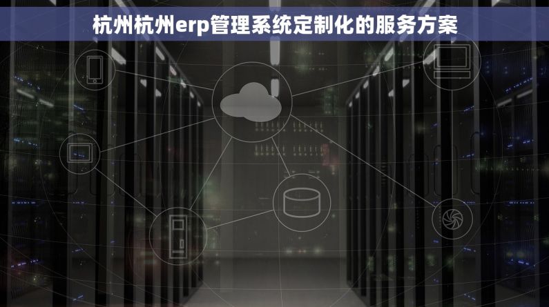 杭州杭州erp管理系统定制化的服务方案