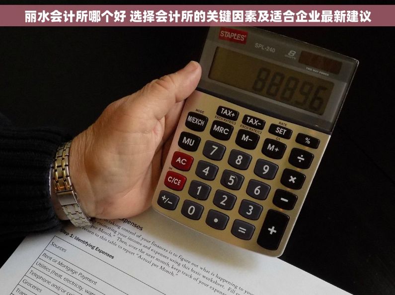 丽水会计所哪个好 选择会计所的关键因素及适合企业最新建议