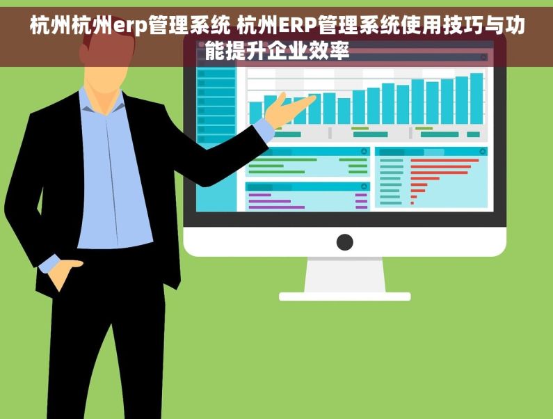 杭州杭州erp管理系统 杭州ERP管理系统使用技巧与功能提升企业效率