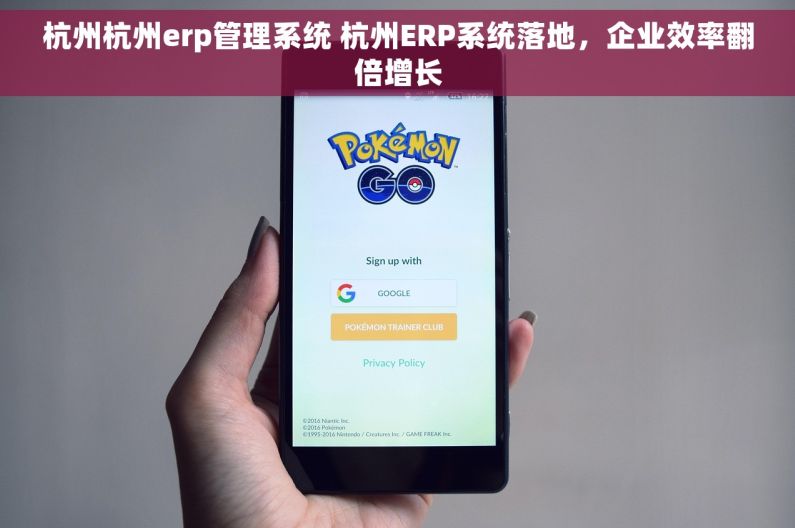 杭州杭州erp管理系统 杭州ERP系统落地，企业效率翻倍增长