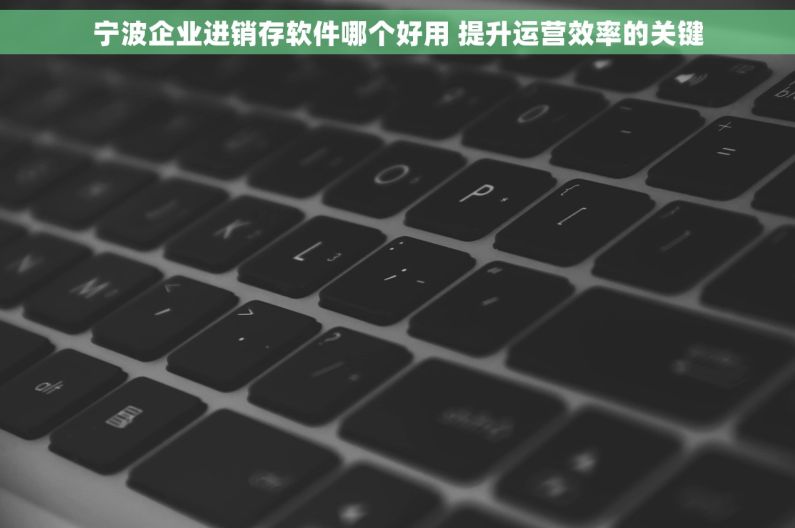 宁波企业进销存软件哪个好用 提升运营效率的关键