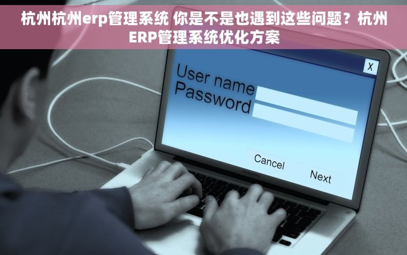 杭州杭州erp管理系统 你是不是也遇到这些问题？杭州ERP管理系统优化方案