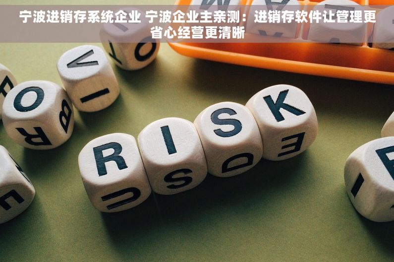 宁波进销存系统企业 宁波企业主亲测：进销存软件让管理更省心经营更清晰