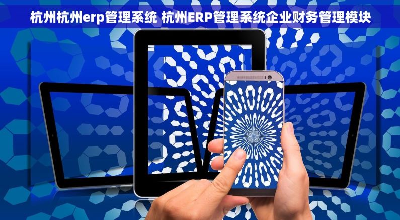 杭州杭州erp管理系统 杭州ERP管理系统企业财务管理模块