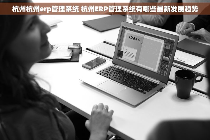 杭州杭州erp管理系统 杭州ERP管理系统有哪些最新发展趋势