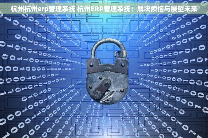 杭州杭州erp管理系统 杭州ERP管理系统：解决烦恼与展望未来