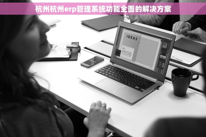 杭州杭州erp管理系统功能全面的解决方案