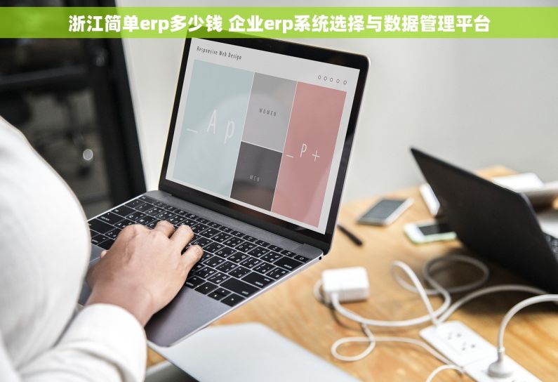 浙江简单erp多少钱 企业erp系统选择与数据管理平台
