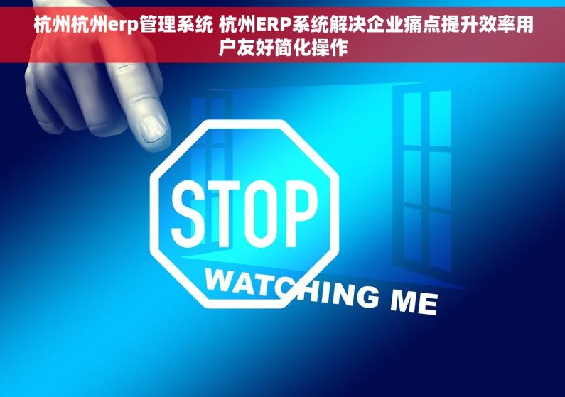 杭州杭州erp管理系统 杭州ERP系统解决企业痛点提升效率用户友好简化操作