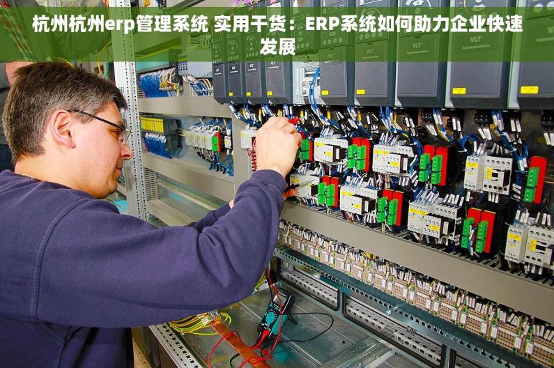 杭州杭州erp管理系统 实用干货：ERP系统如何助力企业快速发展
