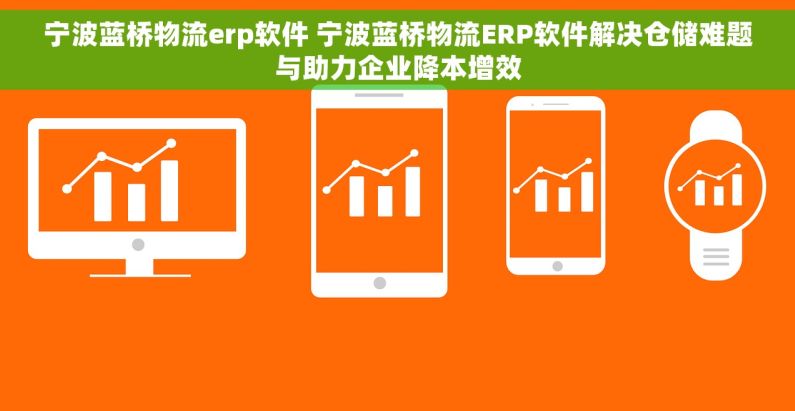 宁波蓝桥物流erp软件 宁波蓝桥物流ERP软件解决仓储难题与助力企业降本增效