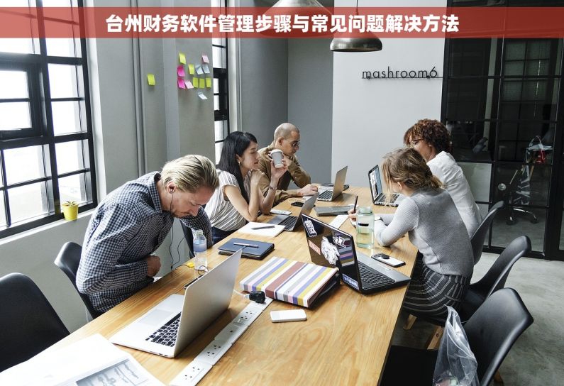 台州财务软件管理步骤与常见问题解决方法