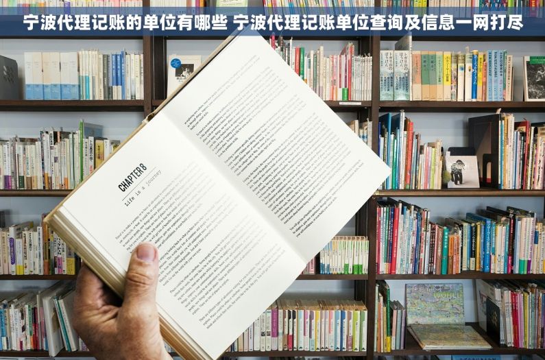 宁波代理记账的单位有哪些 宁波代理记账单位查询及信息一网打尽