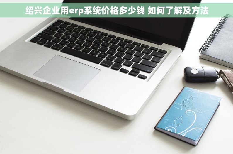 绍兴企业用erp系统价格多少钱 如何了解及方法