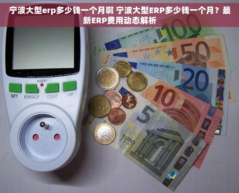 宁波大型erp多少钱一个月啊 宁波大型ERP多少钱一个月？最新ERP费用动态解析