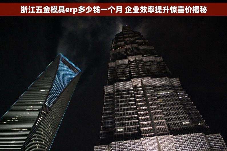 浙江五金模具erp多少钱一个月 企业效率提升惊喜价揭秘