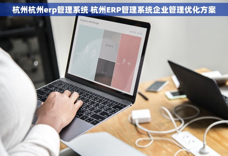 杭州杭州erp管理系统 杭州ERP管理系统企业管理优化方案