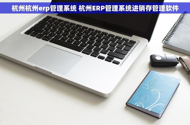 杭州杭州erp管理系统 杭州ERP管理系统进销存管理软件