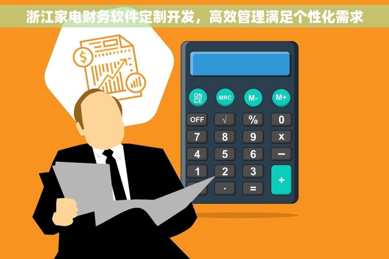 浙江家电财务软件定制开发，高效管理满足个性化需求