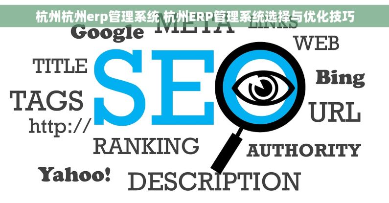 杭州杭州erp管理系统 杭州ERP管理系统选择与优化技巧