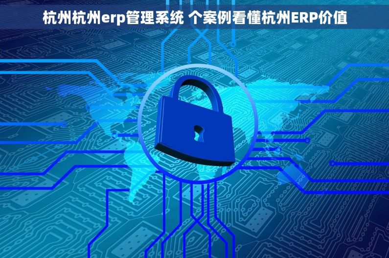 杭州杭州erp管理系统 个案例看懂杭州ERP价值