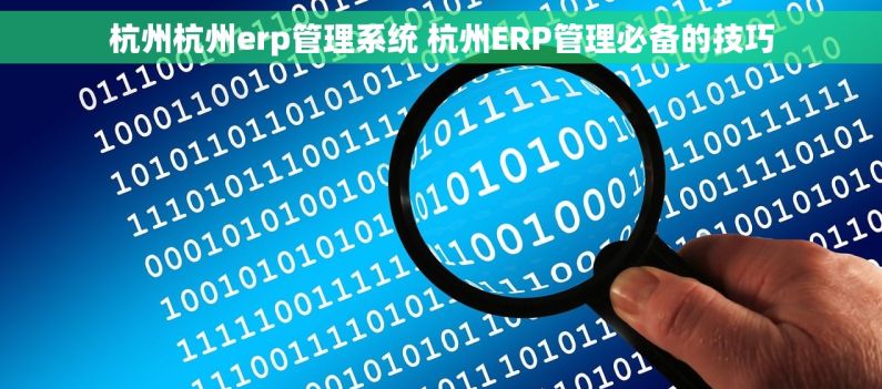 杭州杭州erp管理系统 杭州ERP管理必备的技巧