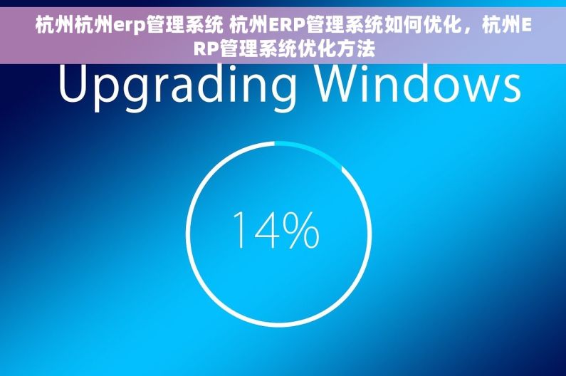 杭州杭州erp管理系统 杭州ERP管理系统如何优化，杭州ERP管理系统优化方法