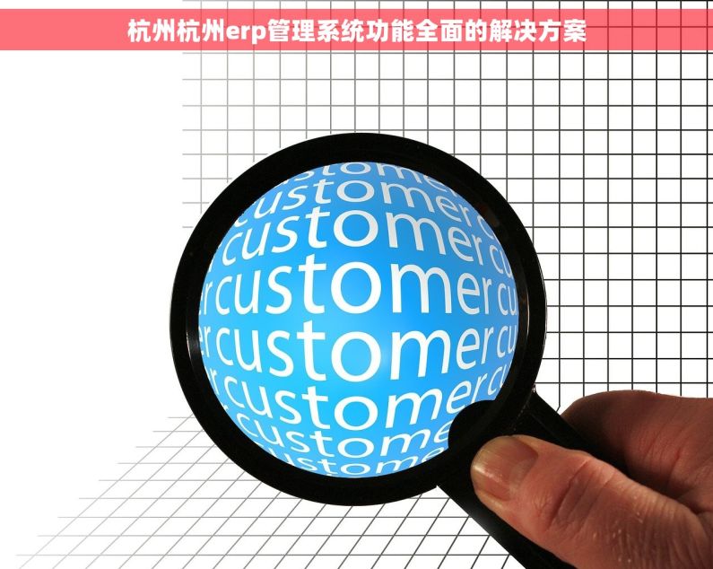 杭州杭州erp管理系统功能全面的解决方案