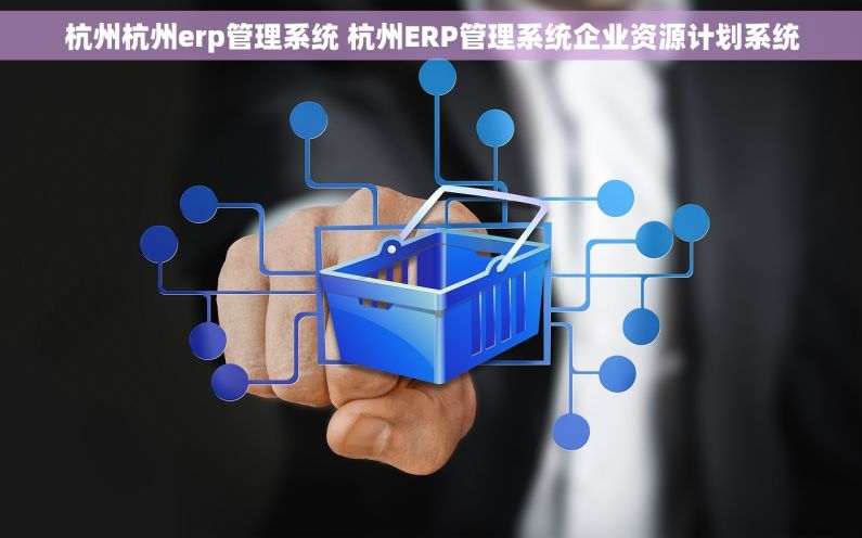 杭州杭州erp管理系统 杭州ERP管理系统企业资源计划系统
