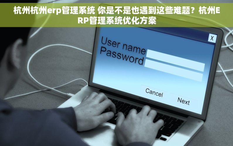 杭州杭州erp管理系统 你是不是也遇到这些难题？杭州ERP管理系统优化方案