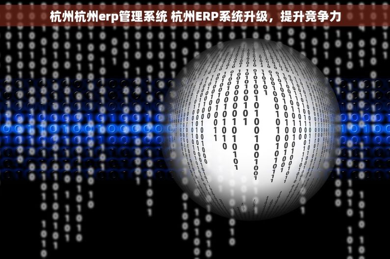 杭州杭州erp管理系统 杭州ERP系统升级，提升竞争力