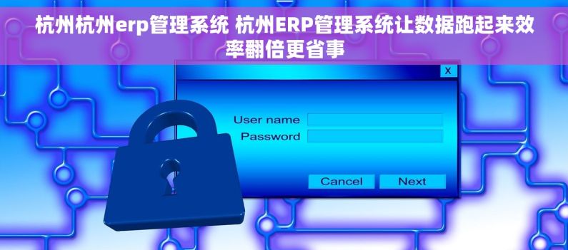 杭州杭州erp管理系统 杭州ERP管理系统让数据跑起来效率翻倍更省事