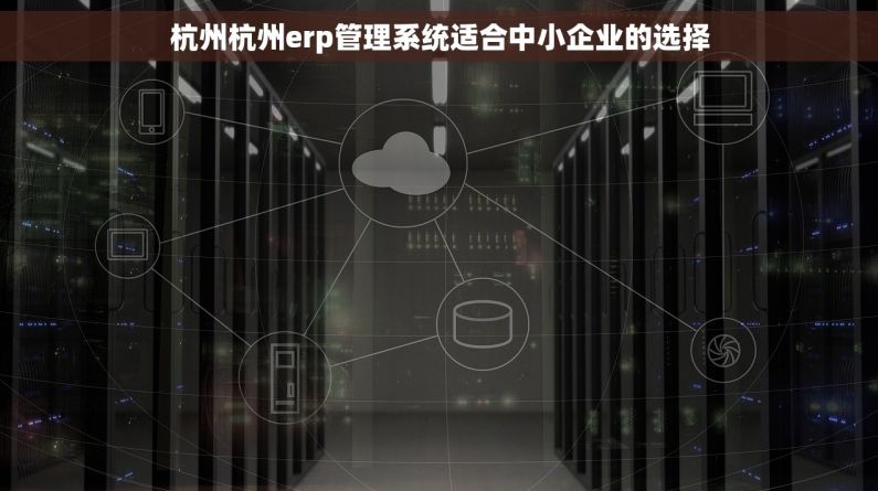 杭州杭州erp管理系统适合中小企业的选择