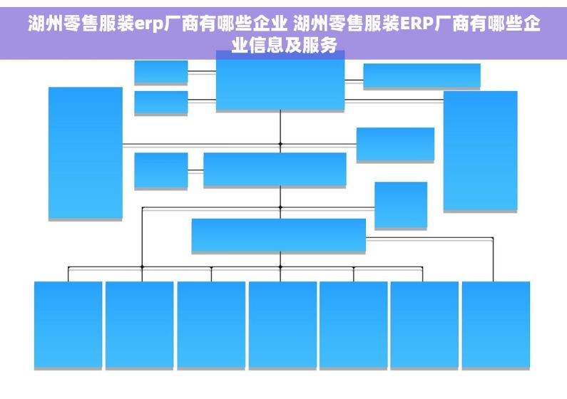 湖州零售服装erp厂商有哪些企业 湖州零售服装ERP厂商有哪些企业信息及服务