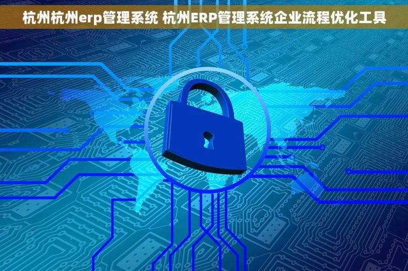 杭州杭州erp管理系统 杭州ERP管理系统企业流程优化工具