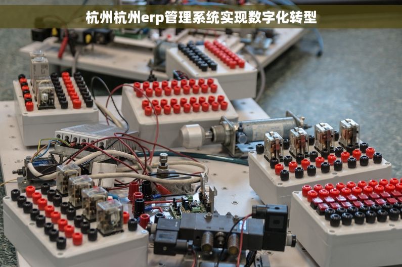 杭州杭州erp管理系统实现数字化转型