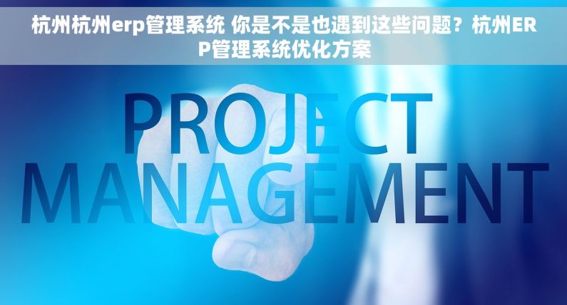 杭州杭州erp管理系统 你是不是也遇到这些问题？杭州ERP管理系统优化方案