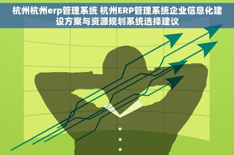 杭州杭州erp管理系统 杭州ERP管理系统企业信息化建设方案与资源规划系统选择建议
