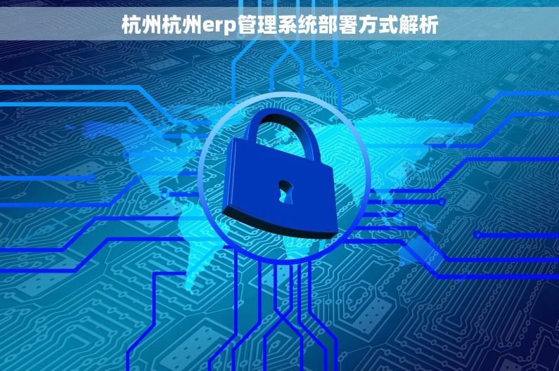 杭州杭州erp管理系统部署方式解析