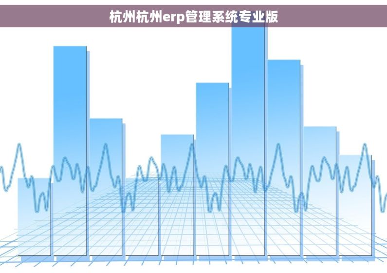 杭州杭州erp管理系统专业版