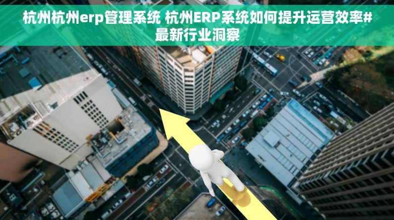 杭州杭州erp管理系统 杭州ERP系统如何提升运营效率#最新行业洞察