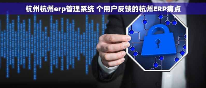 杭州杭州erp管理系统 个用户反馈的杭州ERP痛点