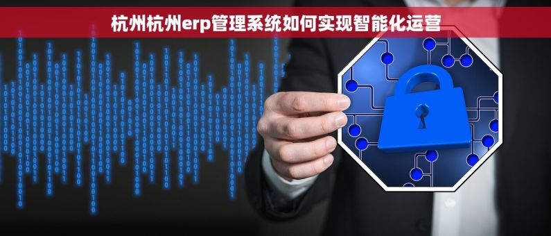 杭州杭州erp管理系统如何实现智能化运营