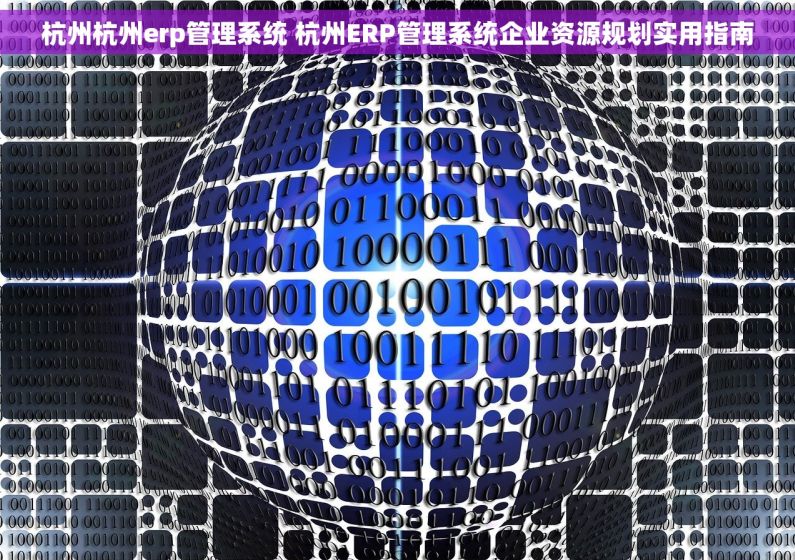 杭州杭州erp管理系统 杭州ERP管理系统企业资源规划实用指南