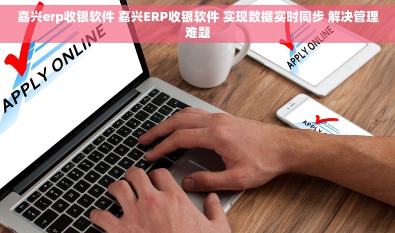 嘉兴erp收银软件 嘉兴ERP收银软件 实现数据实时同步 解决管理难题