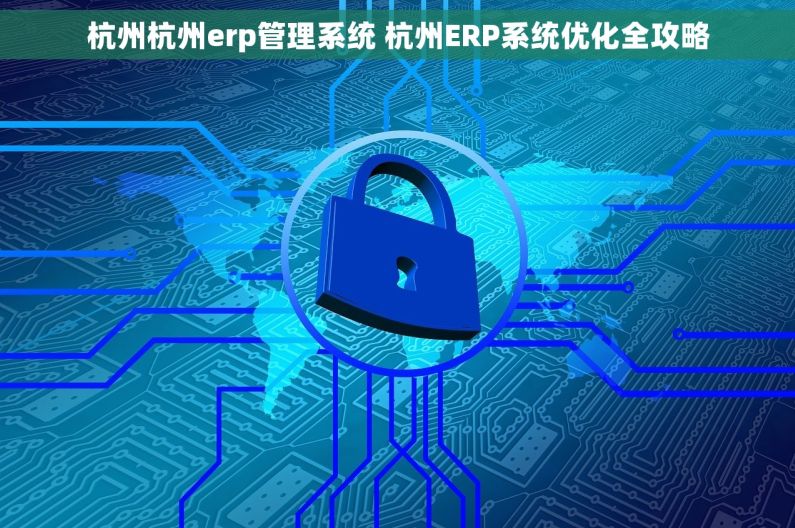 杭州杭州erp管理系统 杭州ERP系统优化全攻略